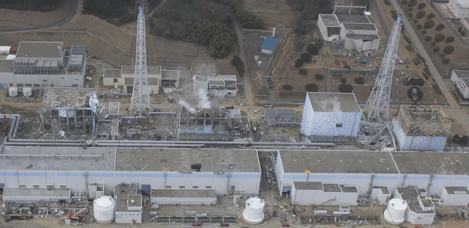 Vaci iradiate si strazi goale. Vezi cum arata zona de carantina de langa Fukushima (VIDEO)