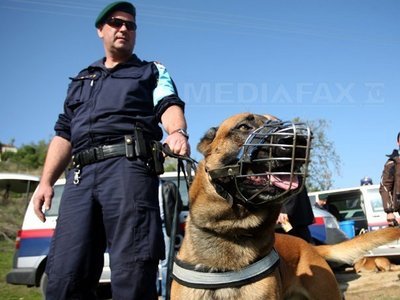 Masurile analizate de UE pentru combaterea imigratiei ilegale