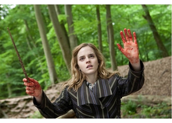 Ce vraji au mai facut Harry Potter, Hermione si Ron