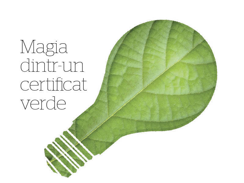 Magia dintr-un certificat verde - cine mai creste de 30 de ori in cinci ani