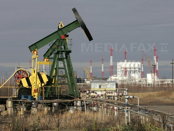 Petrolul descoperit anul trecut la nivel mondial poate acoperi doar 20% din consum