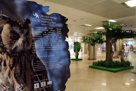 Dupa girafa uriasa din Pasajul Universitatii, acum au crescut acolo arbori