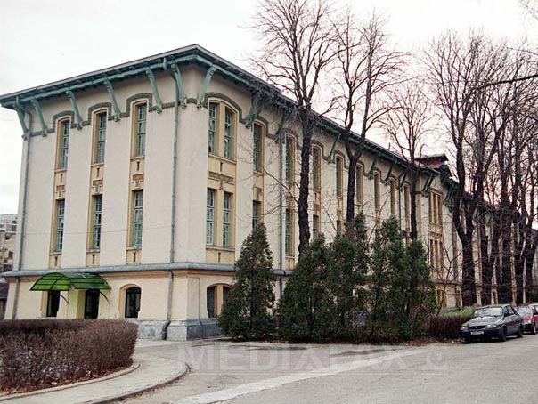 Udrea vrea sa dubleze incasarile din turismul medical din 2015