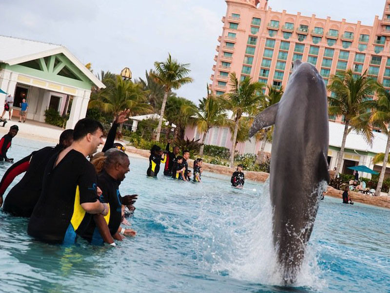 Atlantis, cel mai extravagant resort din Caraibe (GALERIE FOTO)