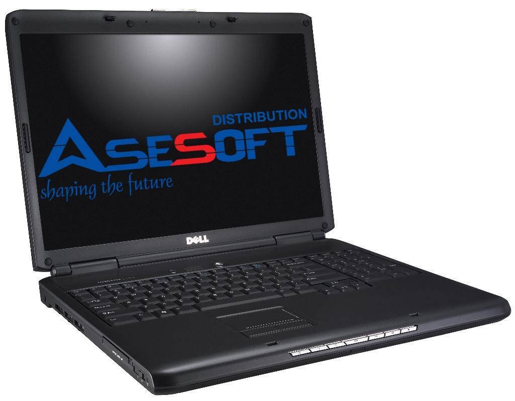 Asesoft Distribution: Afaceri de 78,5 mil. euro in prima jumatate din 2011