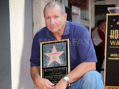 Ed O'Neill, interpretul personajului Al Bundy, a primit o stea pe Walk of Fame