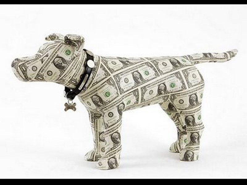 Este camila de 2.7 de milioane de dolari cel mai scump animal din lume? - GALERIE FOTO