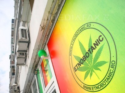 Băsescu: "În Olanda sunt legalizate o parte din droguri. Noi am interzis etnobotanicele. Deci trebuie să fim atenți"