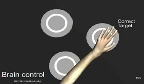 Senzațional: un implant cerebral permite maimuțelor să perceapă obiecte virtuale (VIDEO)