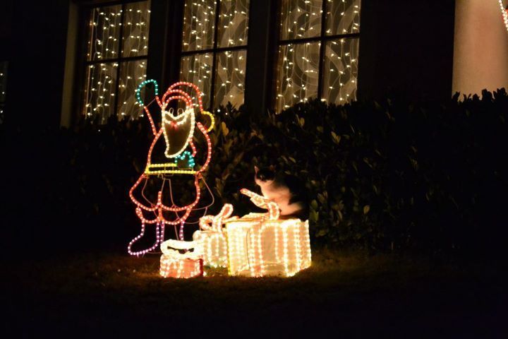 Cele mai spectaculoase locuințe luminate în stil de sărbătoare (VIDEO)