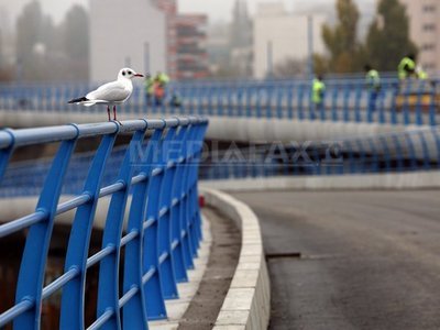 Transporturile au cheltuit în 10 ani 25 miliarde euro și au făcut 200 km de autostradă