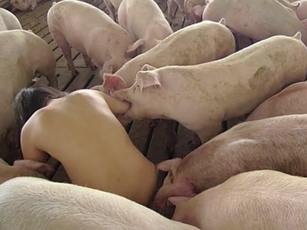 INCREDIBIL: Femeia care trăiește complet goală, alături de porci - VIDEO