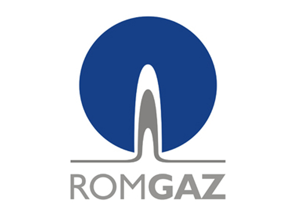EXCLUSIV- AFACEREA ROMGAZ: Niculae se erija în șef al celor șase combinate chimice, iar oficialii acceptau