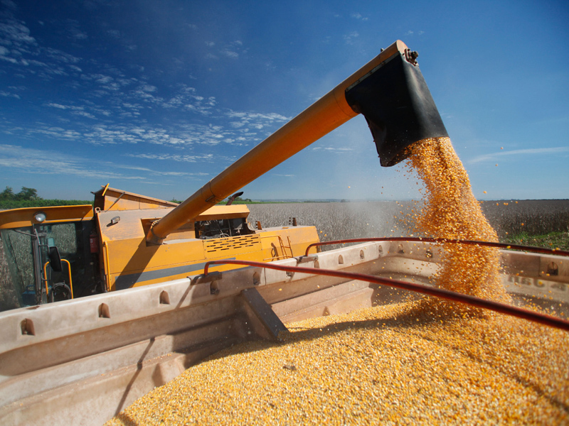 Afacerile Agricover au crescut anul trecut cu 48%