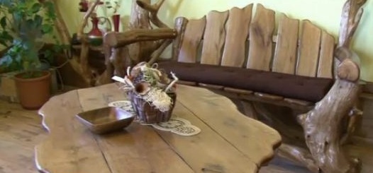Ideea care i-a imbogatit. Cum transforma doi antreprenori cioturile de copaci in zeci de mii de euro (VIDEO)