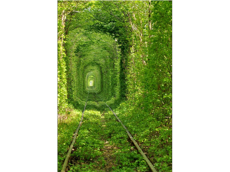 Drumuri fascinante din lumea largă - GALERIE FOTO