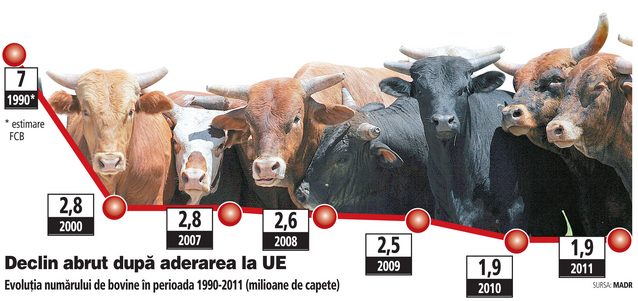 România a ajuns la coada Europei după ce din fermele țărănești au dispărut în zece ani 900.000 de bovine