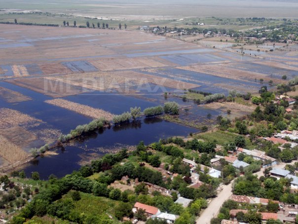 Trei sferturi din populația mediului RURAL trăiește în condiții PRECARE