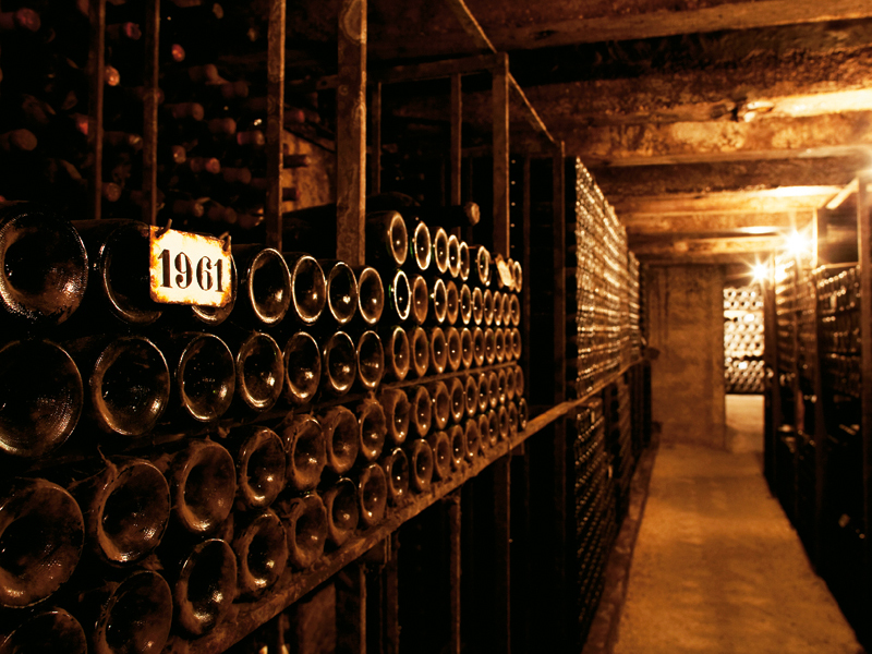 Reportaj: Un pic din misterele producătorilor de vin din Bordeaux