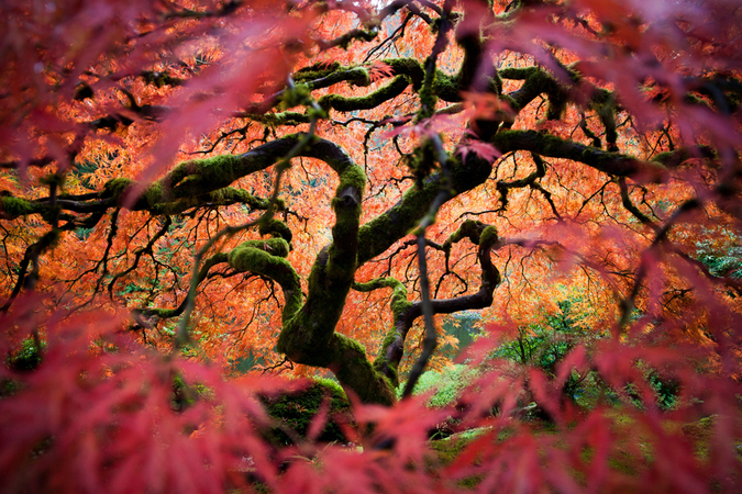 Imagini senzaționale de la concursul National Geographic Traveler Photo – GALERIE FOTO