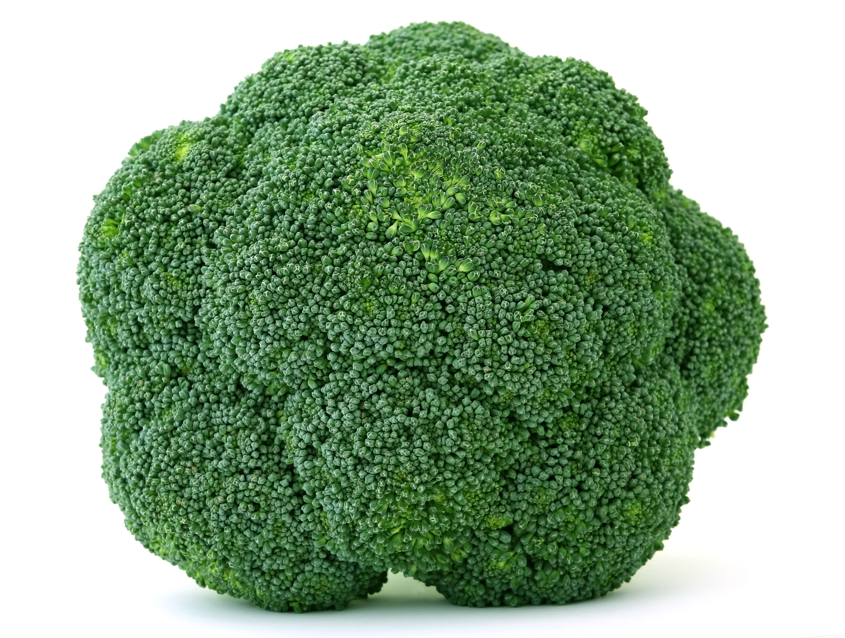 Ce face Garda Financiară după ce a confiscat aproape nouă tone de broccoli