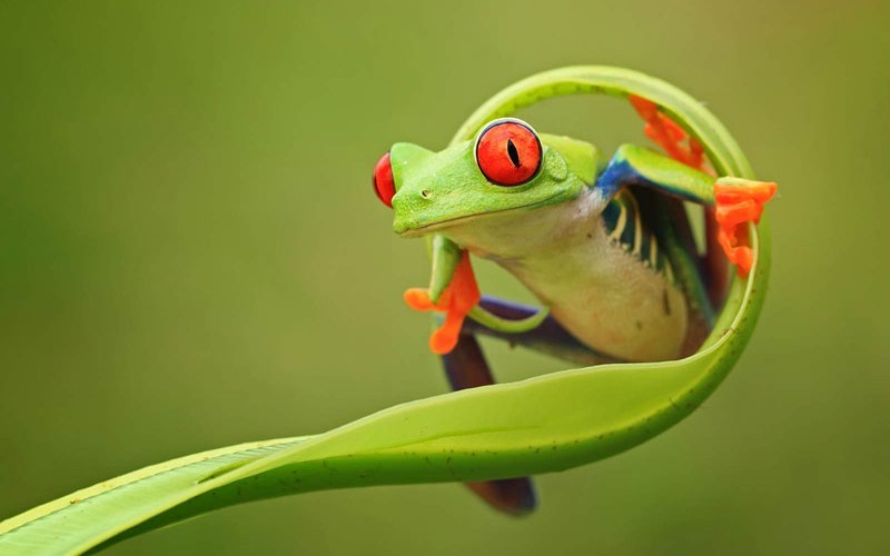 Poza zilei: ce minuni poate face macrofotografia