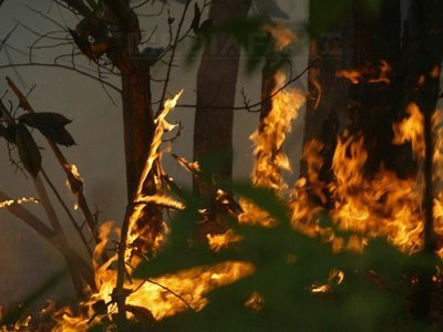Incendii în 35 de județe: Peste 950 de hectare de vegetație și fond forestier, afectate