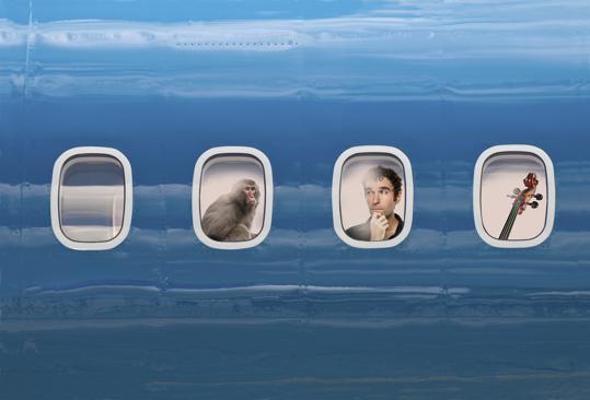 Violoncel, undiță sau ac de croșetat: pe care credeți că le puteți lua în cabina  unui avion de pasageri?