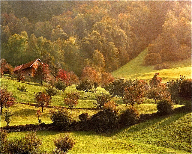 Prognoza meteo. Cum va fi vremea până la 1 octombrie