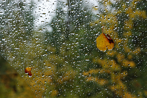 Vin ploile? Prognoza meteo pentru săptămâna viitoare