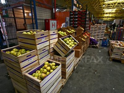 Toate importurile de fructe din Turcia vor fi supuse controlului amănunțit