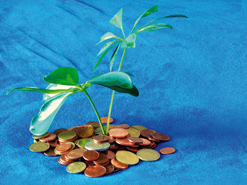 Evaziunea fiscală care nu este evaziune. Cum plimbă marile multinaționale banii prin paradisuri fiscale