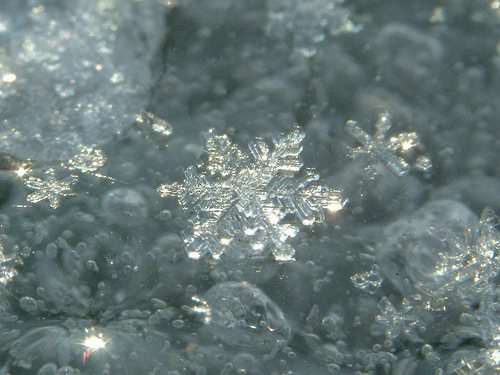 METEO. Prognoza vremii până la 2 decembrie