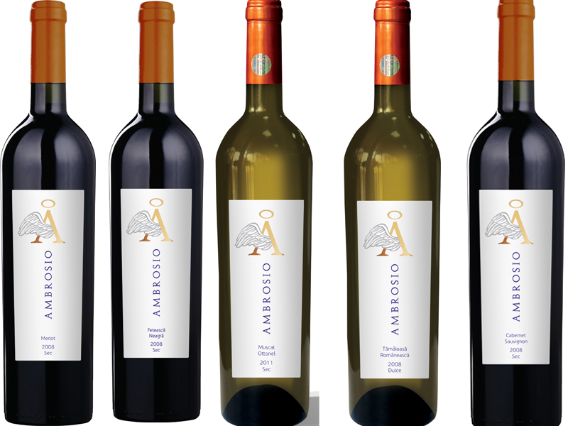 Luchi Georgescu, Vincon: Aveam nevoie de vinuri super premium, pentru Horeca