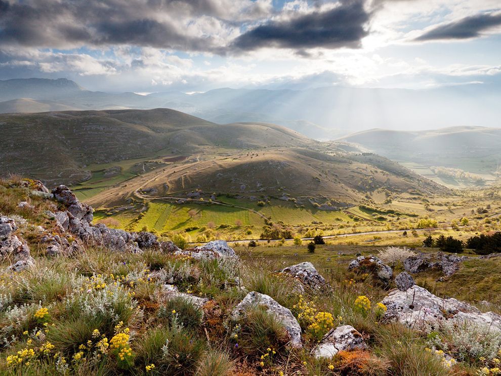 Poza zilei: florile sălbatice ale Italiei