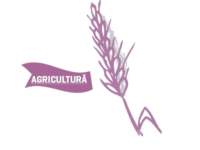Retrospectiva anului economic 2012, AGRICULTURĂ - Vedeta devenită cenușăreasă
