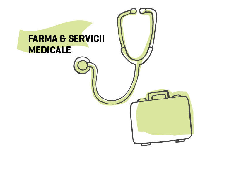 Retrospectiva anului economic 2012, FARMA & SERVICII MEDICALE - Unde sunt plusurile de altădată?