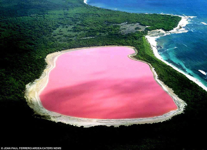 Imaginea zilei: lacul roz din Australia