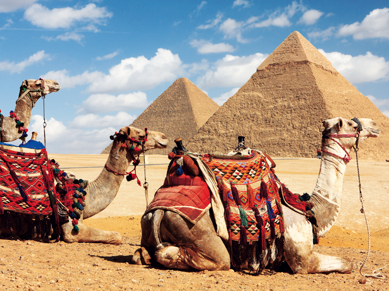 World Travel Market 2012 - o lume care se mișcă. Tendințele industriei turismului în 2013