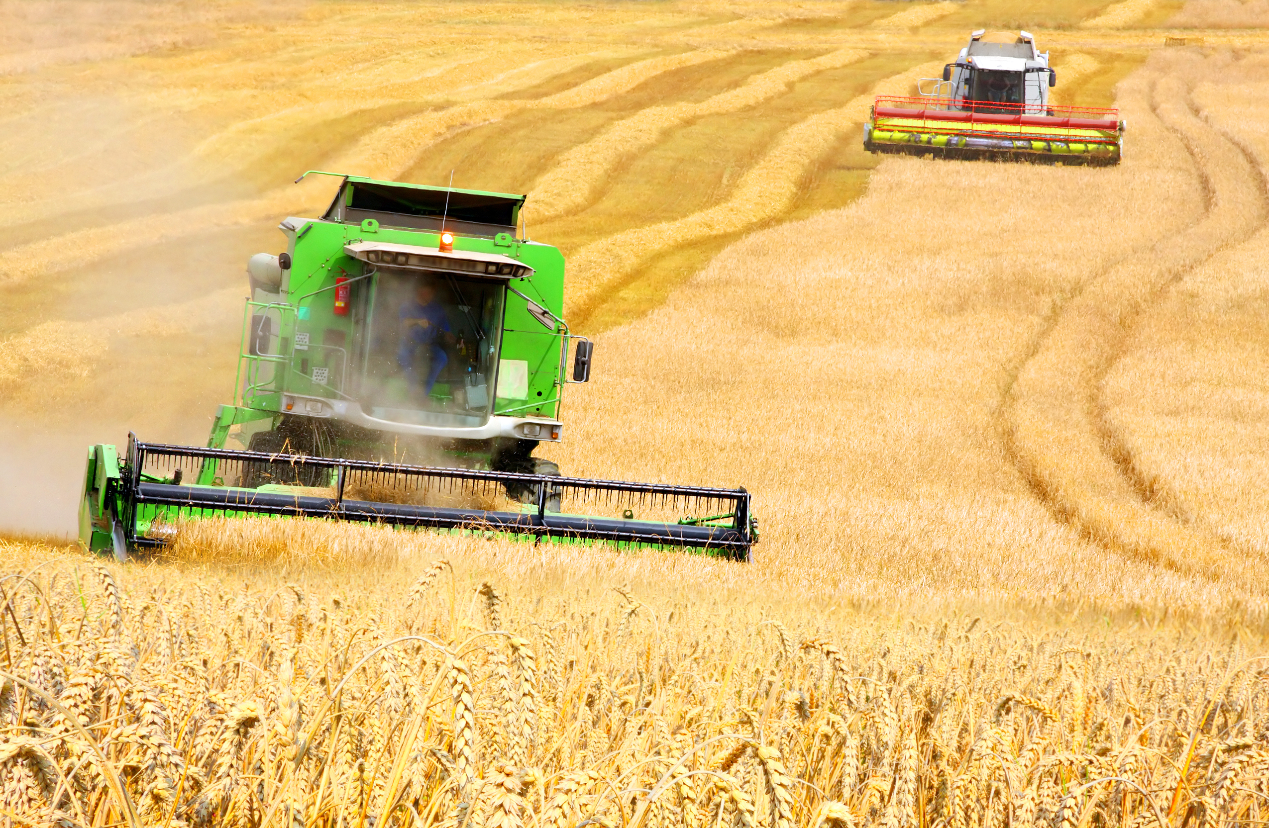 Dilemele anului 2013: ce se va întâmpla în agricultură?