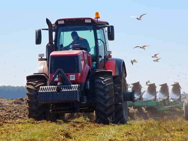 Ce face Agricultura cu 3,9 miliarde de euro: 1,2 miliarde de euro pentru cereale, 310 milioane de euro pentru crescătorii de animale și restul cofinanțare pentru proiecte UE