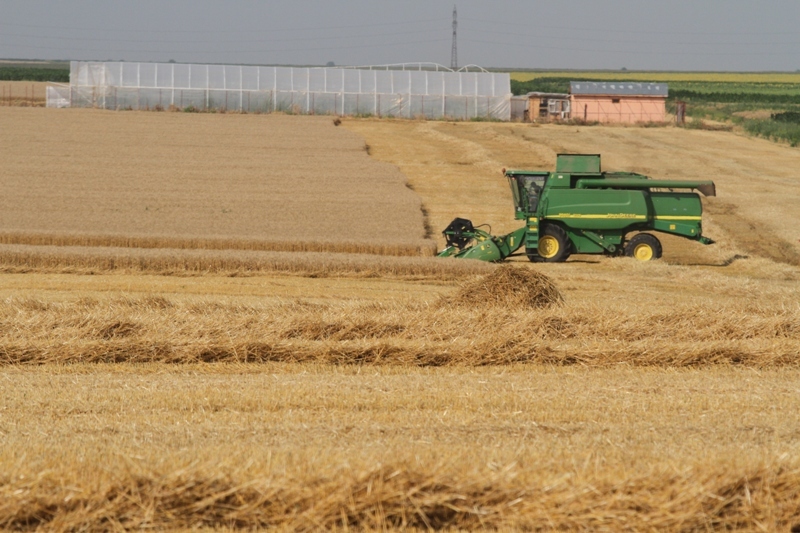 Impozitul plătit de agricultorii persoane fizice ar putea scădea. Statul vrea să taxeze veniturile din creșterea animalelor