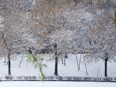 O grenadă a fost găsită în Parcul Tineretului din Capitală