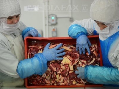 O parte din carnea găsită la firma din Blaj este de cal