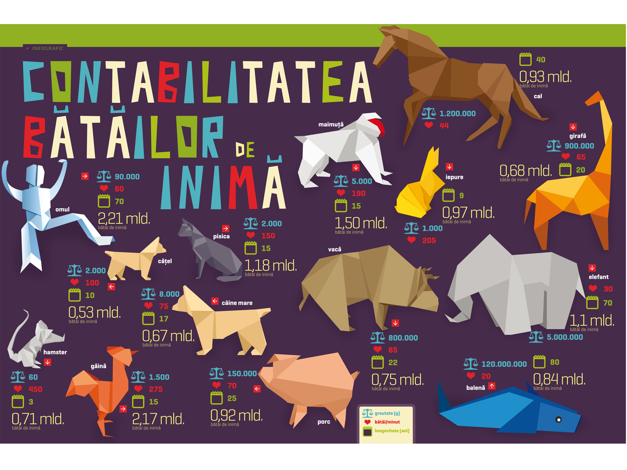Infograficul săptămânii: Contabilitatea bătăilor de inimă