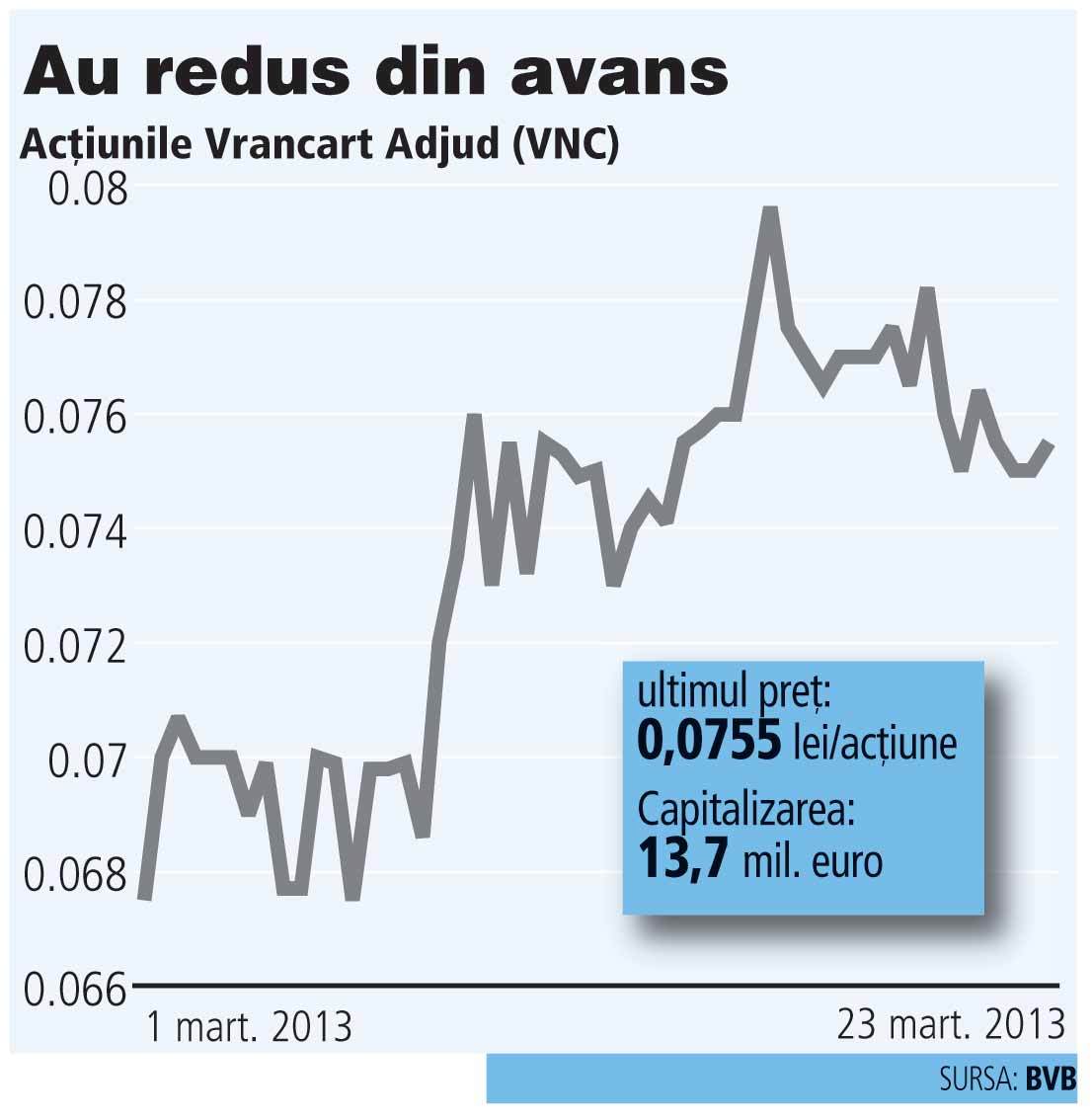 Vrancart Adjud țintește un profit cu 13% mai mare în 2013