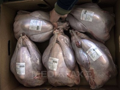 UN NOU SCANDAL ALIMENTAR: Carne de curcan cu reziduuri de antibiotic, trimisă în Germania de la o fermă din România
