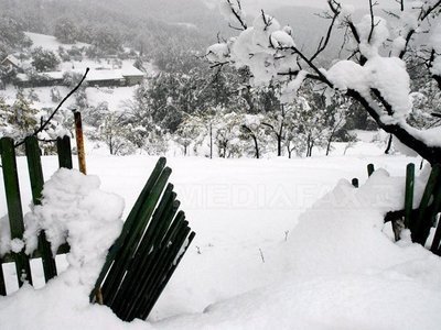 PROGNOZA METEO. Sâmbătă cu vânt și ninsoare la munte
