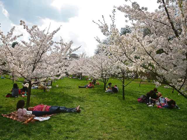 Zilele libere din 2 și 3 mai, recuperate în aprilie