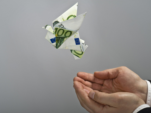 Programul Guvernului: ne îndepărtăm ușor-ușor de zona euro